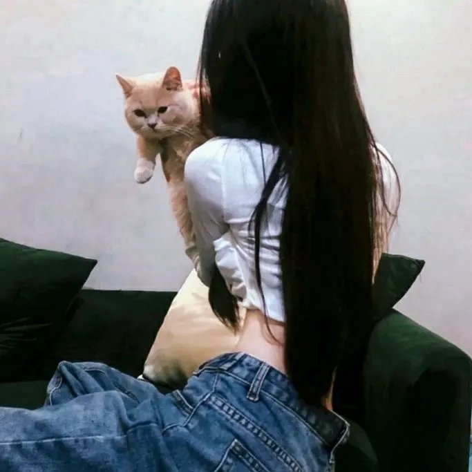 解码游戏